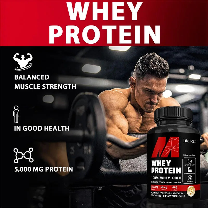 Didacat Whey Protein Concentrate 5000mg – Gluten Free, Non-GMO Protein Supplement Qst
