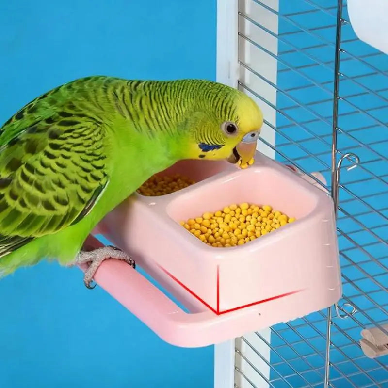 Large Double Compartment Parrot Feeding Bowl | Bird Feeder Dish Bird Feeder Bowl Qme