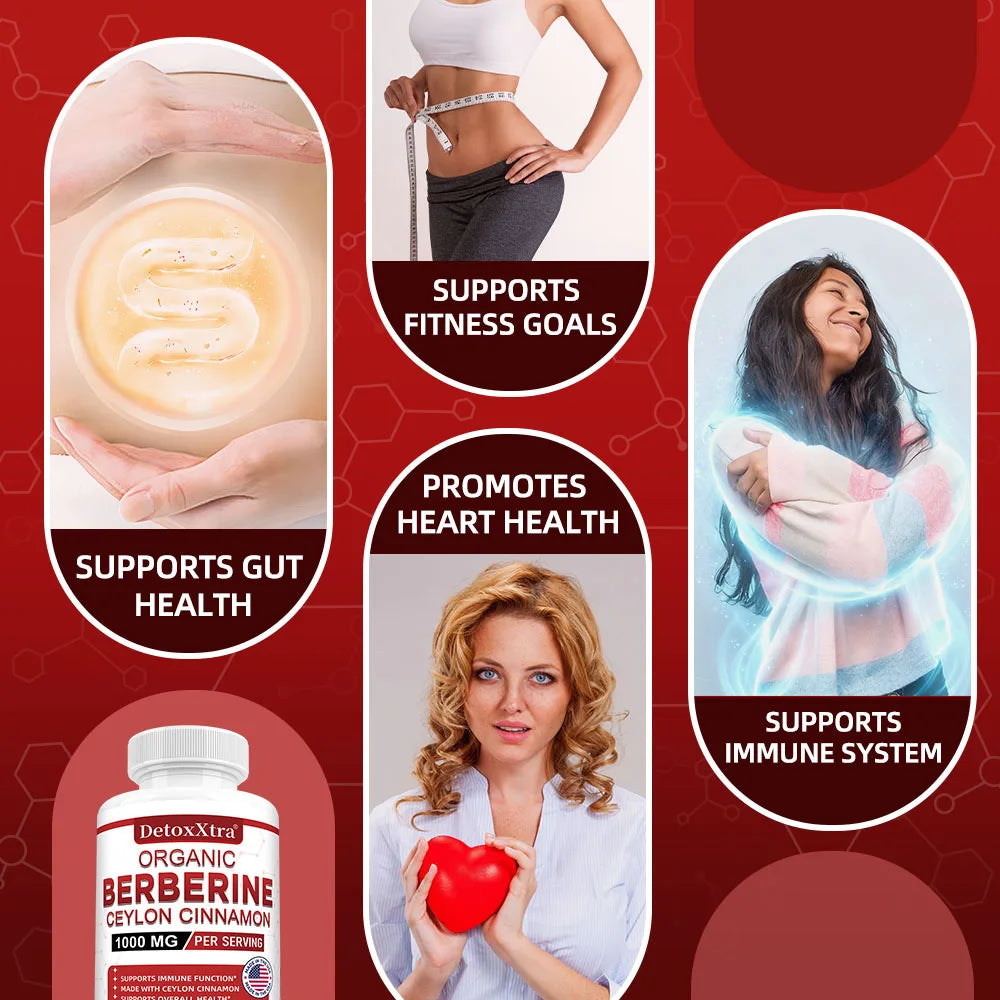Berberine HCL 1000mg Ceylon Cinnamon Supplement | DETOXXTRA Herbal Supplement Qst