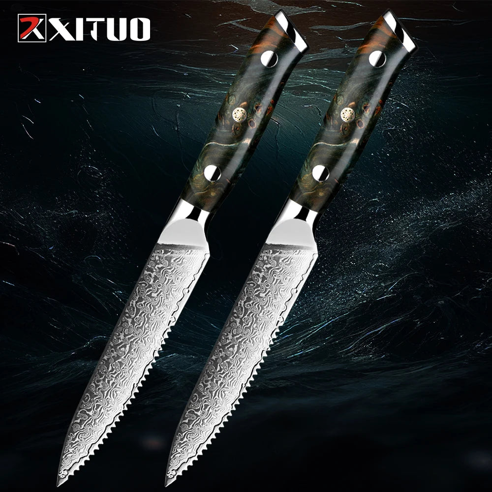XITUO Damascus Steel Steak Knives Set – 5 Inch Sharp Dinner Knife Steak Knife Set Qst 2 PCS Steak knife