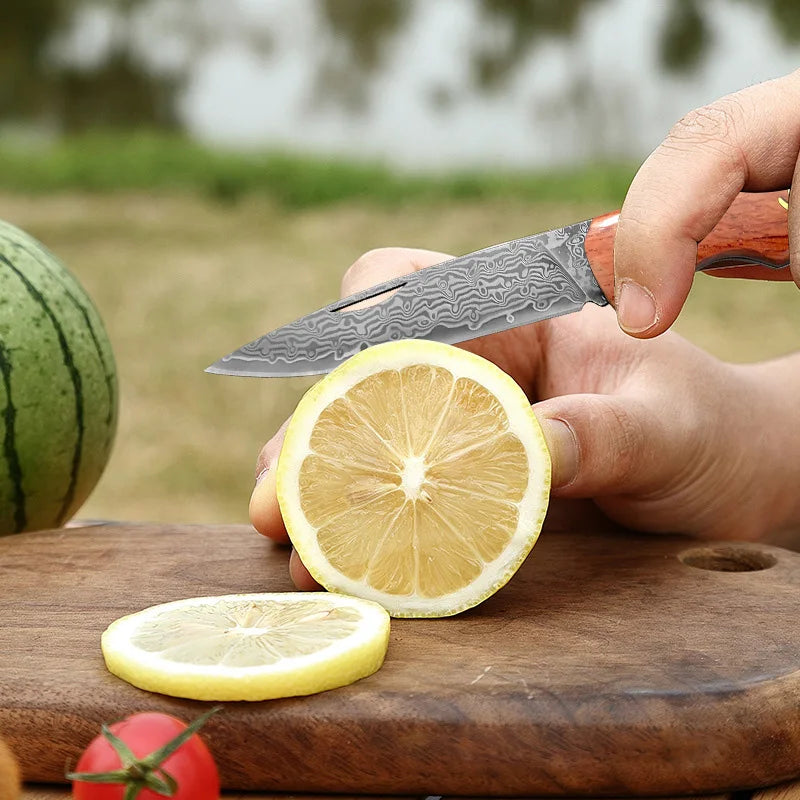 Damascus Steel Folding Boning Knife – Wood Handle, 8.2" Blade Folding Kitchen Knife Qst