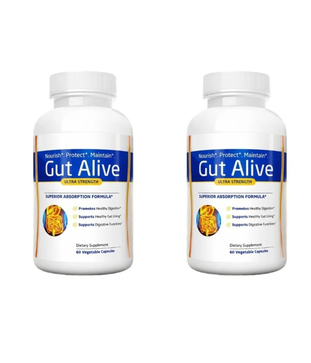 Gut Alive Natural Digestive Supplement – 120 Capsules | Ginger Digestive Supplement Qst 120 Count(Pack of 2)