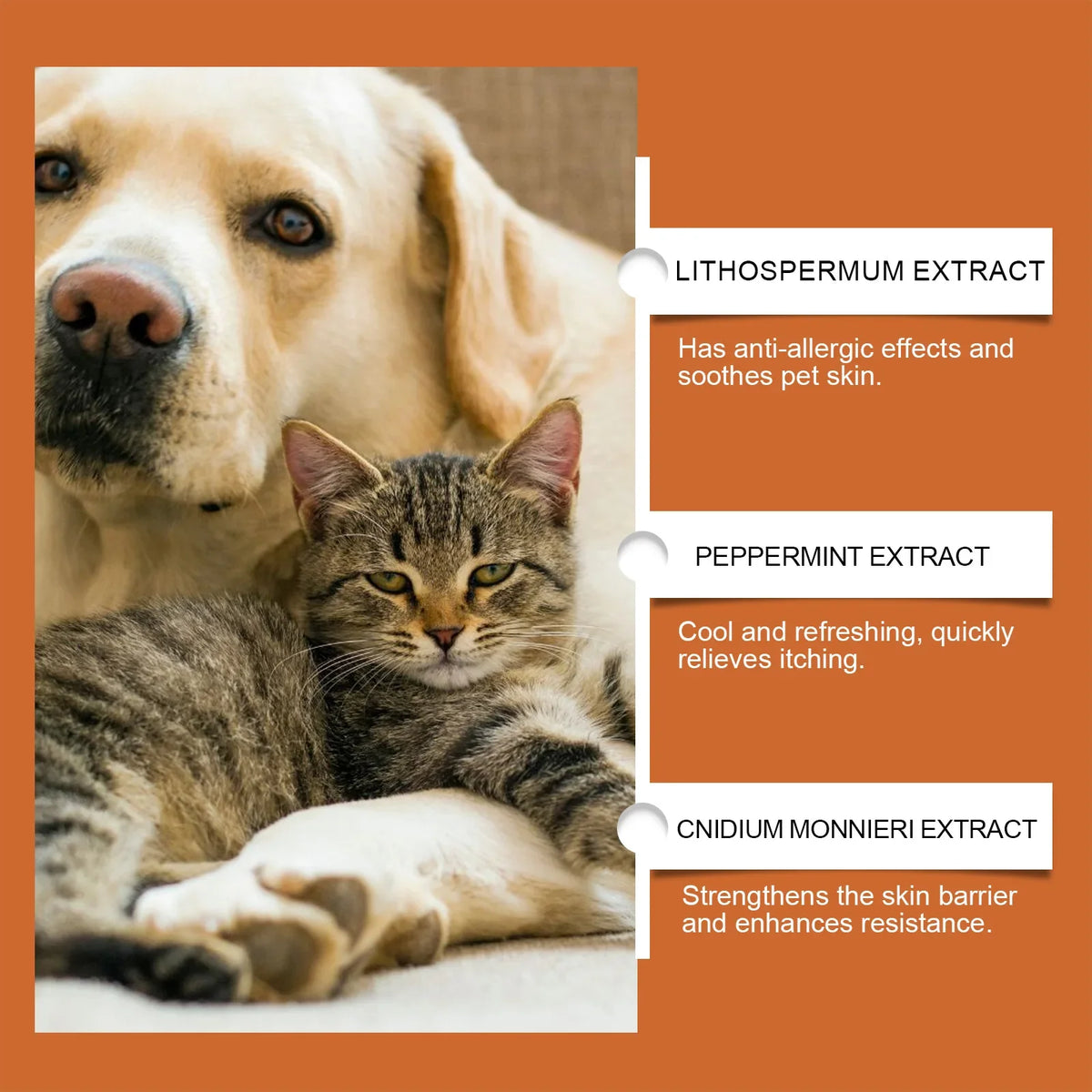 Yegbong Pet Skin Care Cream – Herbal Wart & Skin Care Pet Skin Care Cream Qme