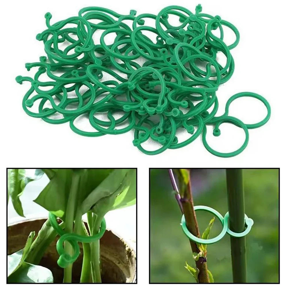 Figure-Eight Plant Support Buckles | Plastic Binding Clips 50pk Plant Support Clips Qme Green 50pcs G656A