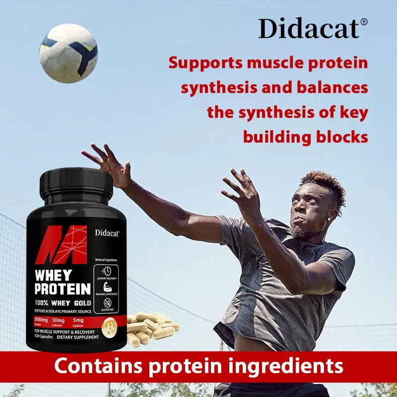 Didacat Whey Protein Concentrate 5000mg – Gluten Free, Non-GMO Protein Supplement Qst