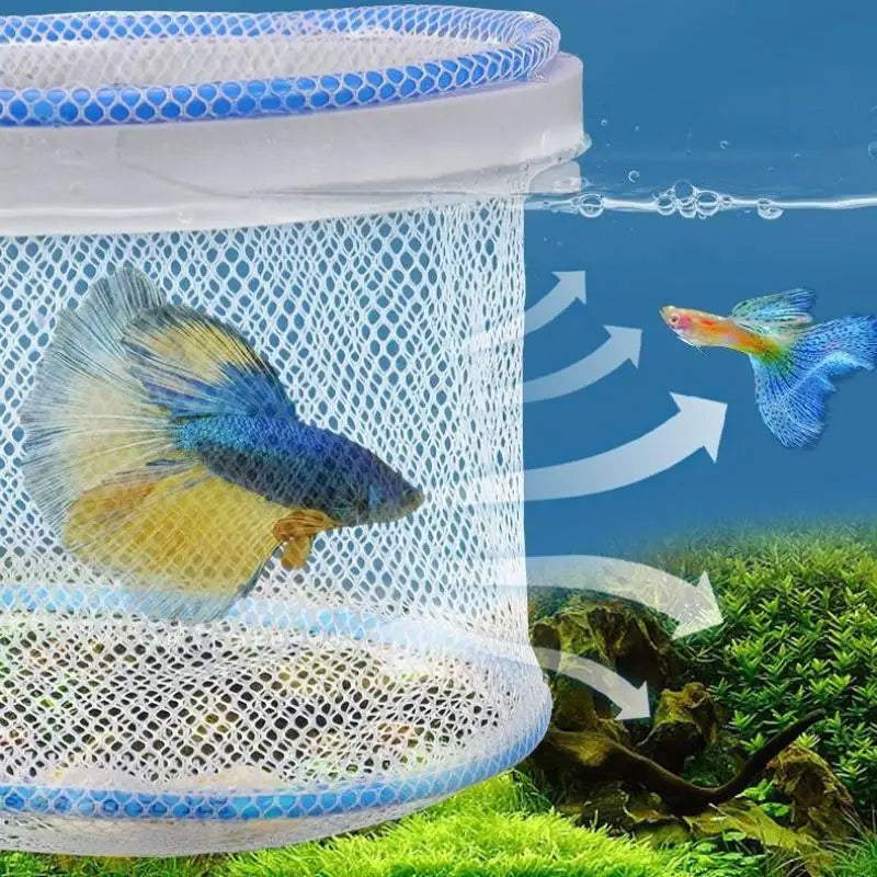 Aquarium Breeding Box – Fish Isolation Hatchery Net Aquarium Breeding Box Qst