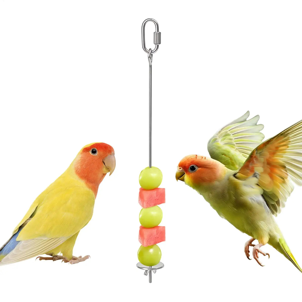 Stainless Steel Bird Cage Food Skewer & Fruit Stick Holder Bird Cage Accessory Qme