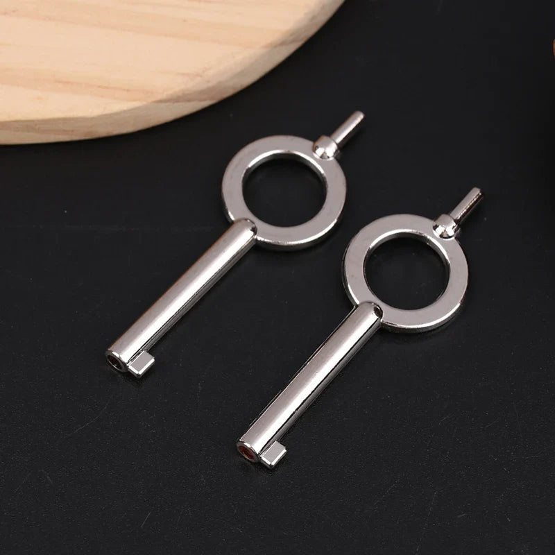 Universal Handcuff Keys – American Standard Stainless Steel Handcuff Key Set Qme