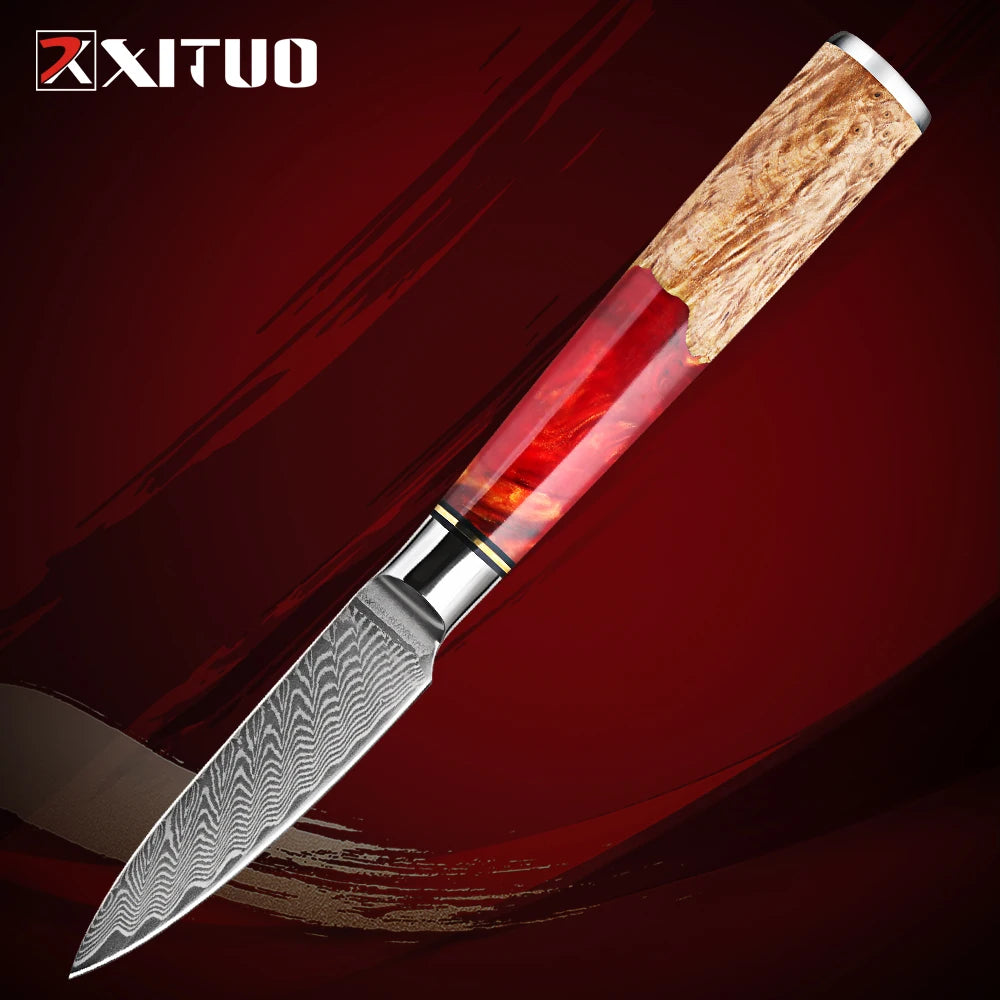 XITUO 3.5" Damascus VG10 Paring Knife – 67-Layer Red Resin Handle Damascus Paring Knife Qst Fruit knife