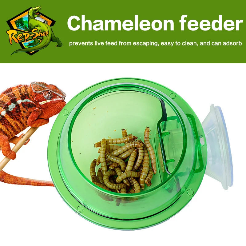 Reptile Anti-Escape Feeder Bowl – Suction Cup for Lizard & Gecko Reptile Feeder Bowl Qst
