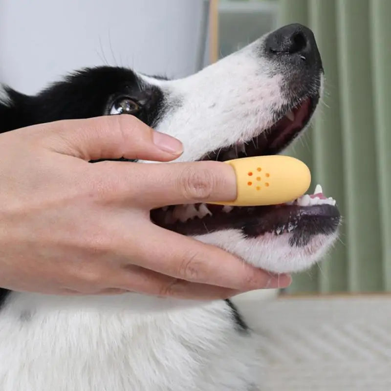 Pet Finger Toothbrush – Soft Reusable Dental Tool for Dogs & Cats Pet Finger Toothbrush Qme