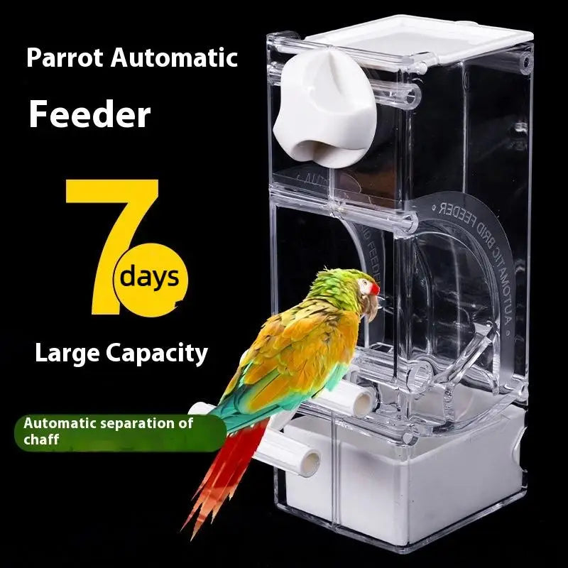 Automatic Bird Cage Feeder for Budgies, Parrots & Cockatiels Bird Cage Feeder Qst