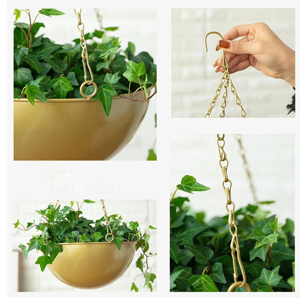 Self-Watering Wall Planter with Iron Hook – Indoor & Outdoor Wall Planter Qme