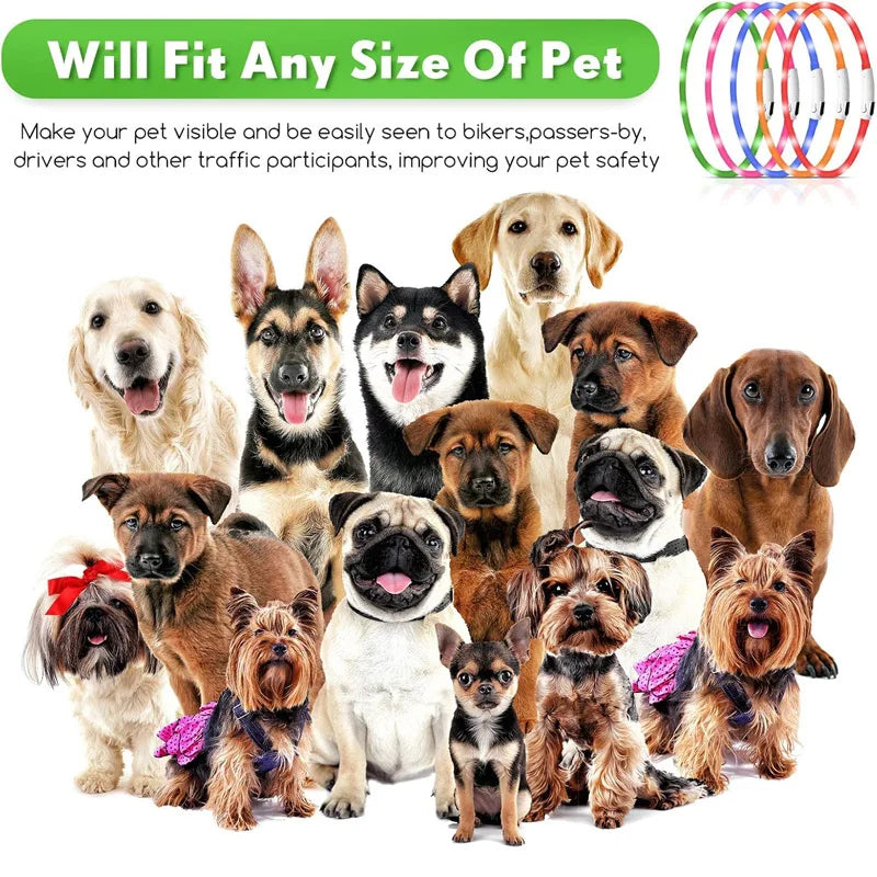 LED USB Rechargeable Dog Collar – Adjustable Safety Light LED Dog Collar Qme