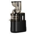 HAOYUNMA 220V Automatic Juicer – Fruit & Vegetable Extractor Electric Juice Extractor Qst YX-01 EU