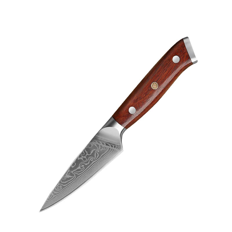 4-Piece Damascus Steel Knife Set – 67-Layer Rosewood Handle Damascus Knife Set Qst Paring Knife