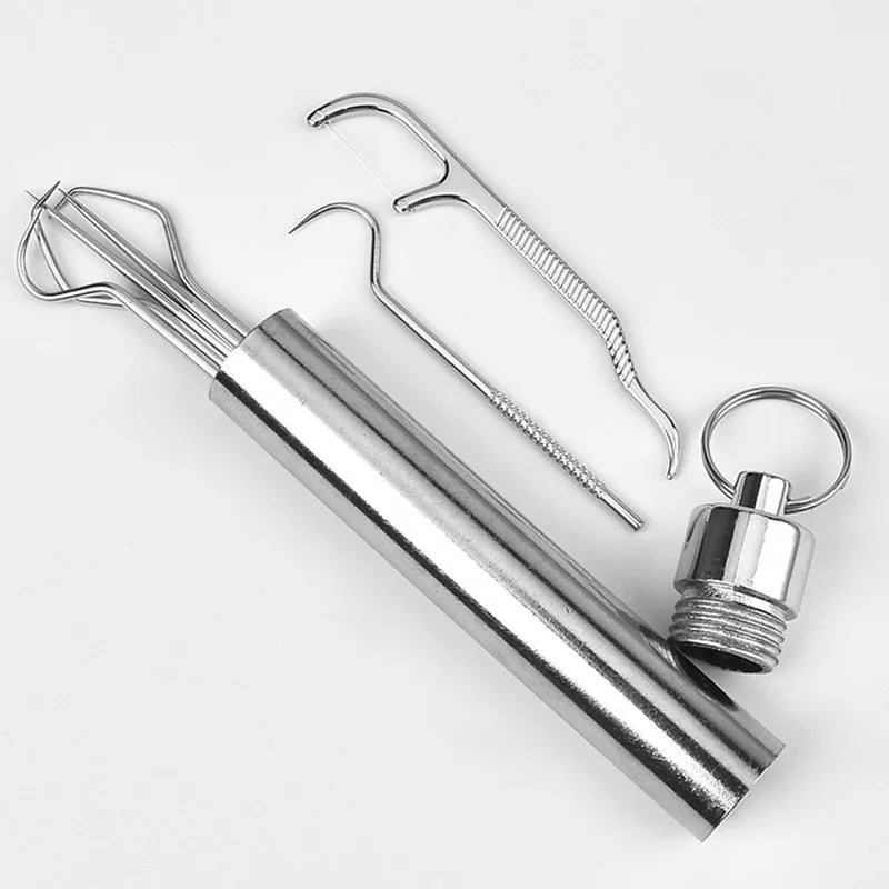 Reusable Stainless Steel Toothpick Set – Portable Oral Care Tool Reusable Toothpick Set Qme