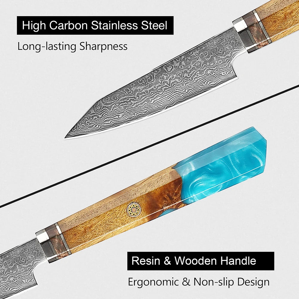 XITUO 4-Inch Damascus Steel Paring Knife – Resin & Wood Handle Damascus Paring Knife Qst