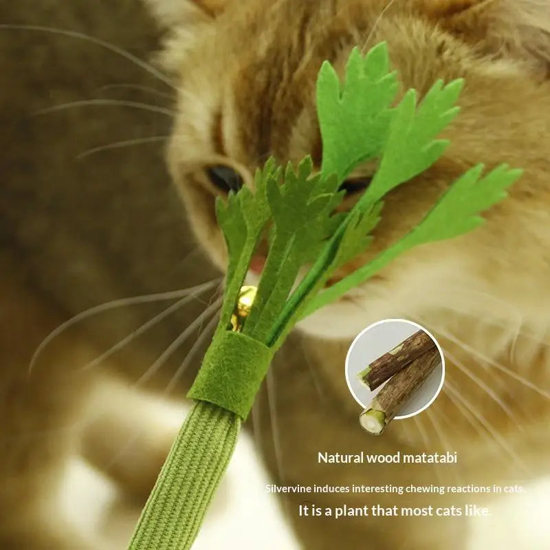 Catnip Molar Stick Cat Chew Toy – Squeaky Self-Play Cat Chew Toy Qme