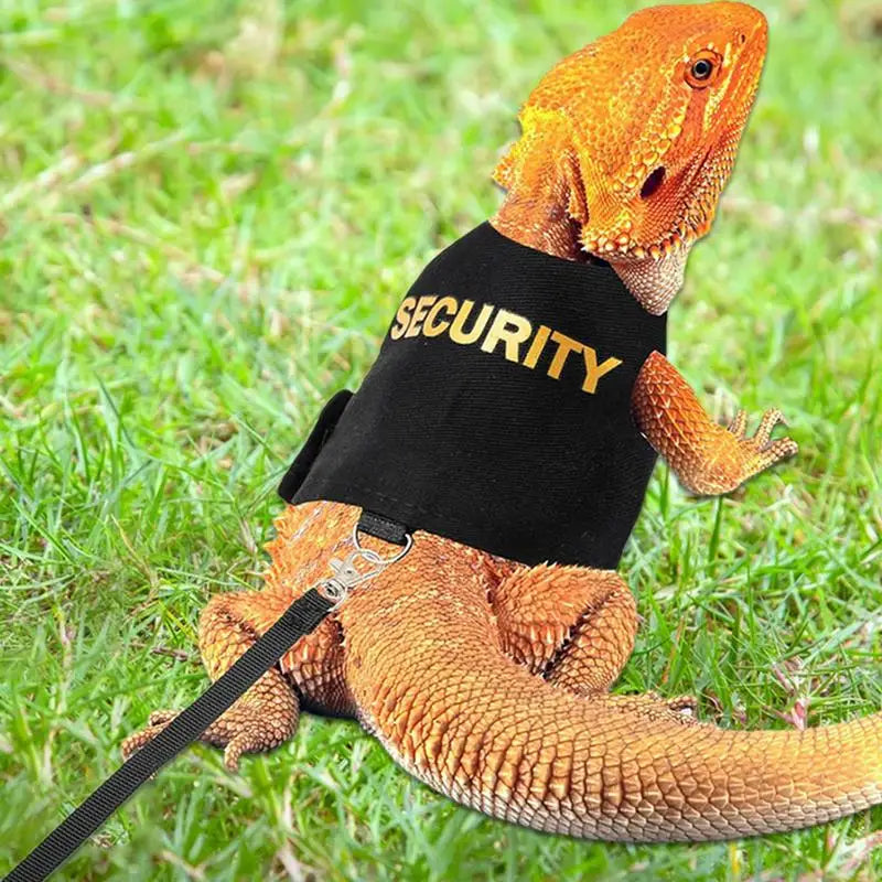 Reptile Harness & Leash | Bearded Dragon, Gecko, Lizard Reptile Harness Leash Qme