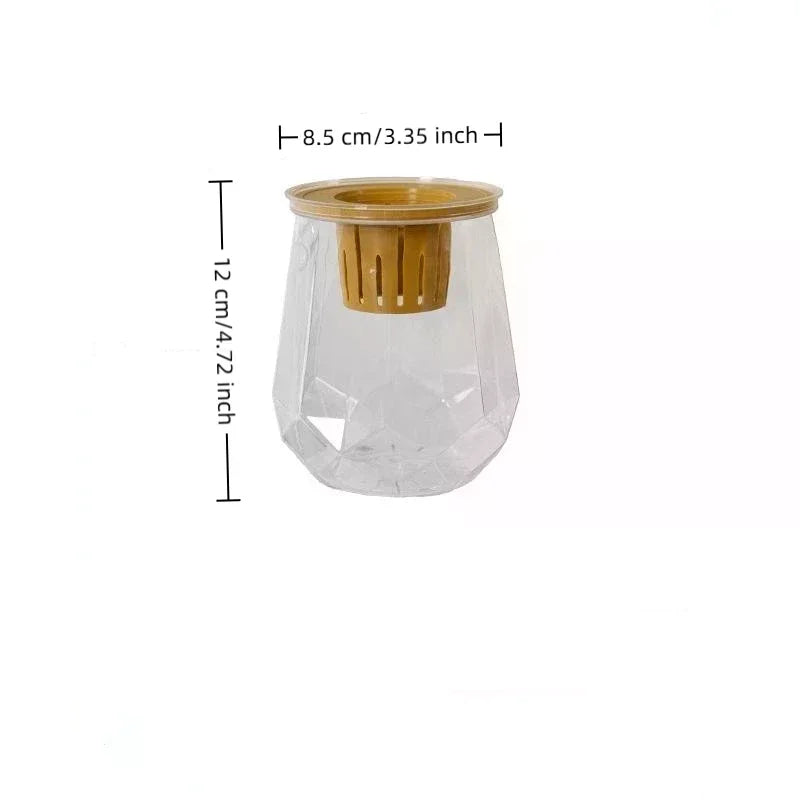 Mini Self-Watering Planter & Fish Tank – Transparent Pot Self-Watering Planter Qme