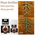 Moonspry Plant Rooting Powder – Root Growth & Transplant Nutrient Plant Rooting Powder Qst Default Title