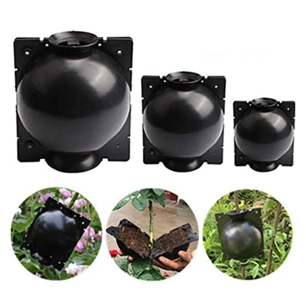 Plant Rooting Propagation Balls – Air Layering Box 6 Pack Plant Propagation Kit Qme