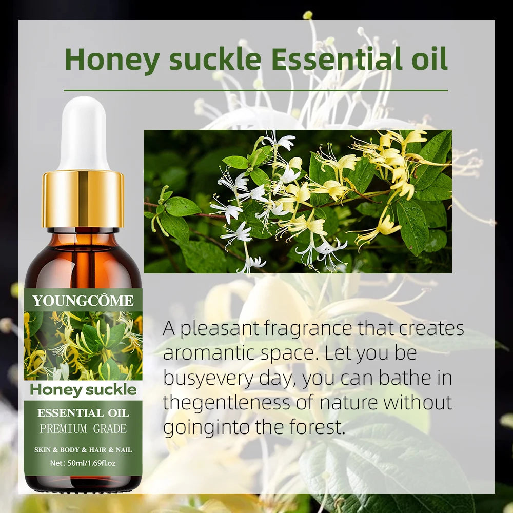 YOUNGCOME Honeysuckle Essential Oil – Skin & Massage Essential Oil Serum Qst