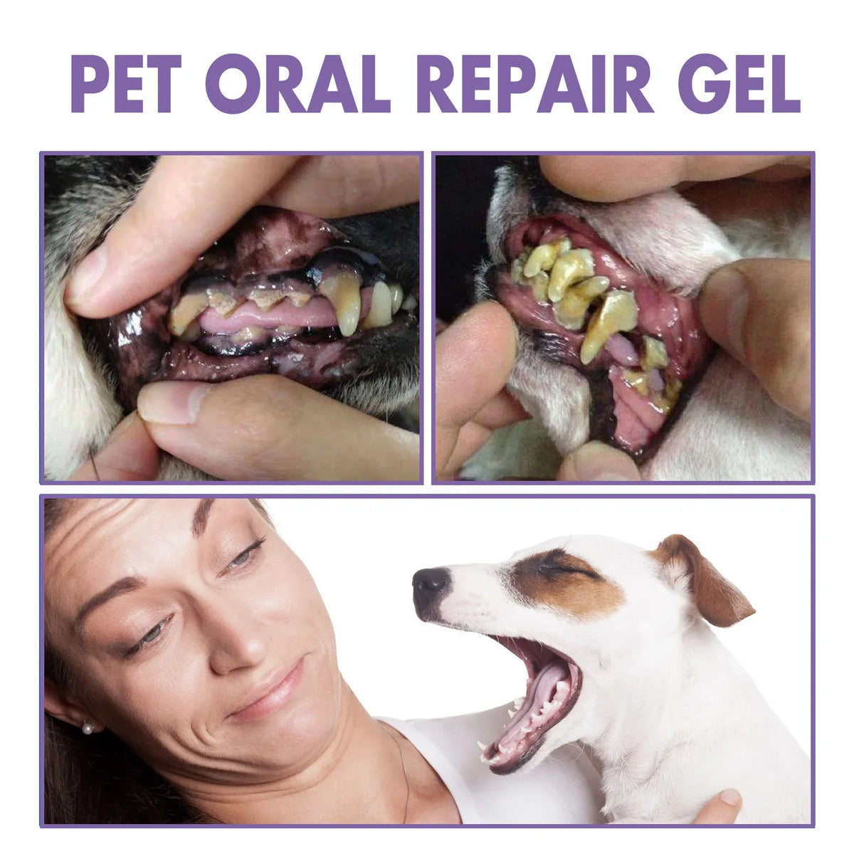 Pet Oral Gel – Dog & Cat Tartar Remover, Teeth Whitener Pet Dental Gel Qme
