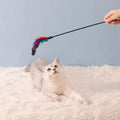 Cat Interactive Wand Toy – Colorful Chicken Stick & Bell Cat Wand Toy Qme Multicolor