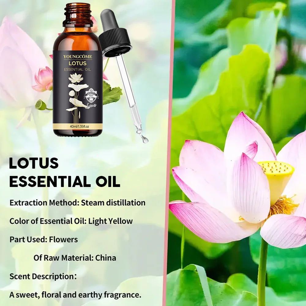 YOUNGCOME Natural Lotus Essential Oil – Skin & Meditation Lotus Essential Oil Qst