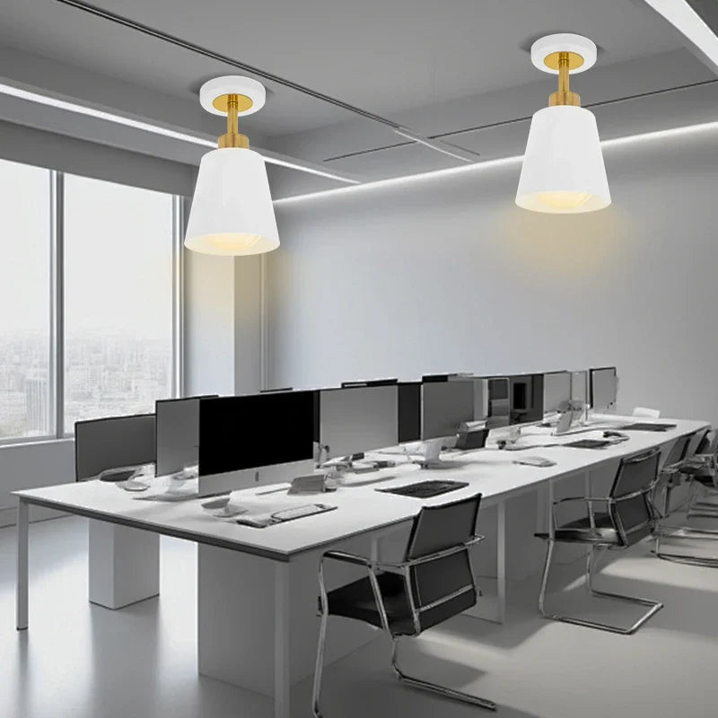 Modern Rotatable Ceiling Light for Hallway, Corridor & Balcony Ceiling Light Fixture Qme