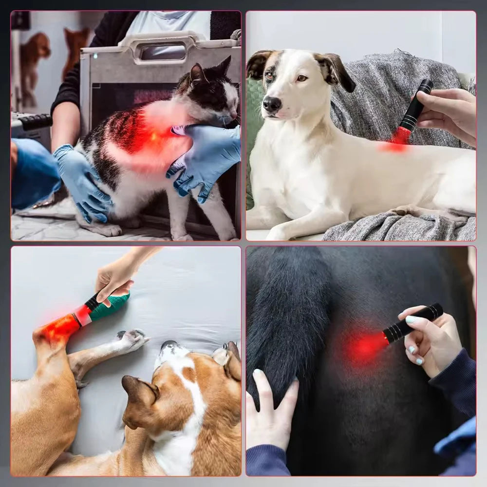 Red Light Therapy Wand 660nm 850nm – Portable LED Pen Device Red Light Therapy Wand Qst