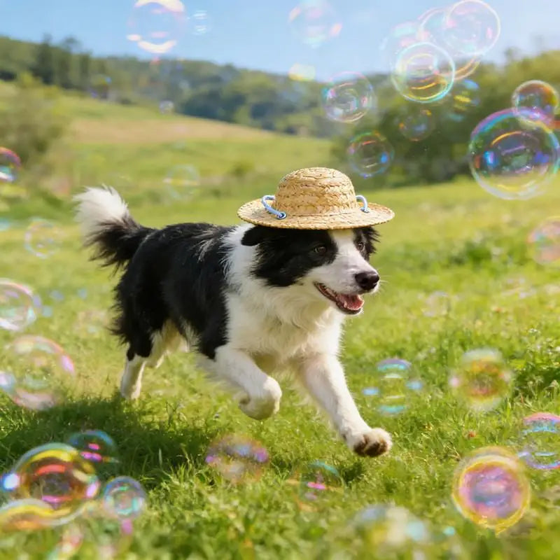 Adjustable Woven Pet Hat – Dog & Cat Photo Prop Sunshade Cap Pet Costume Hat Qme
