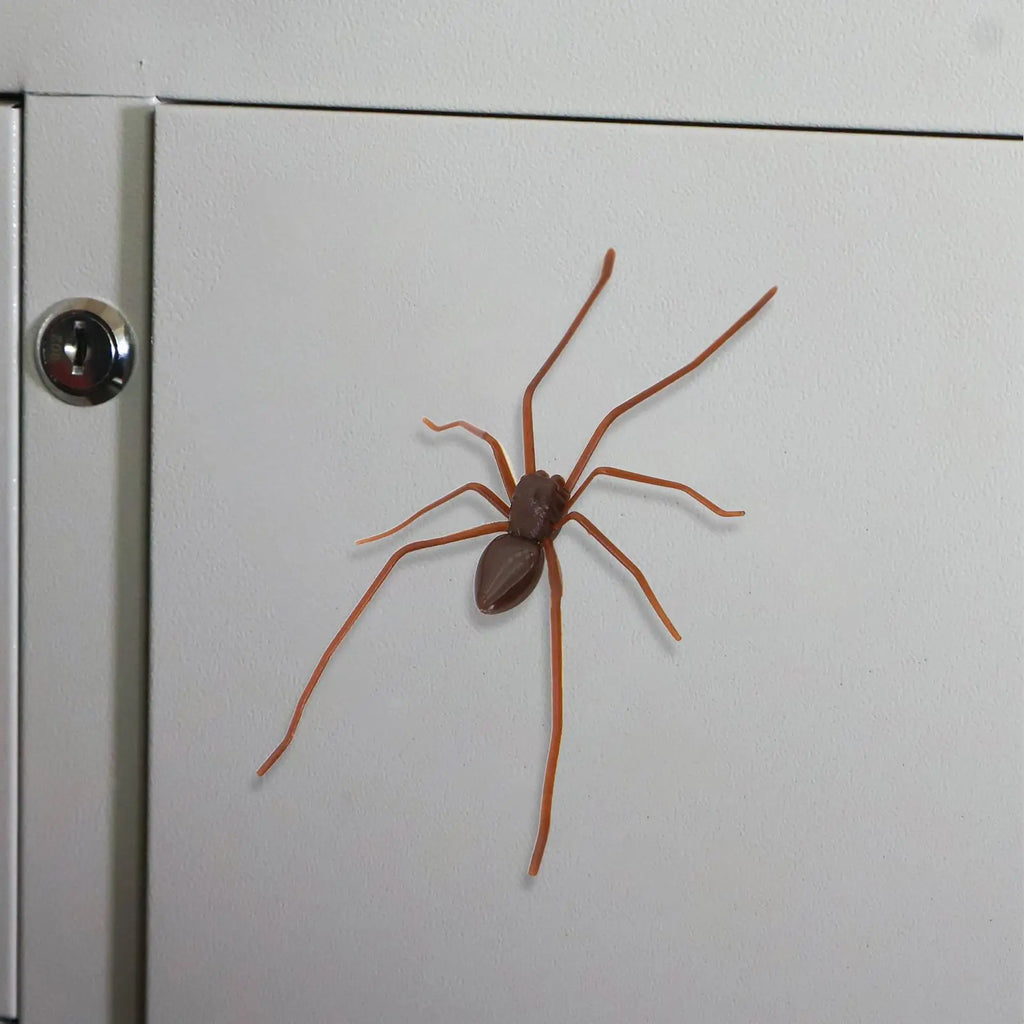 Realistic Spider Fridge Magnet – Funny Prank Novelty Decor Novelty Fridge Magnet Qst