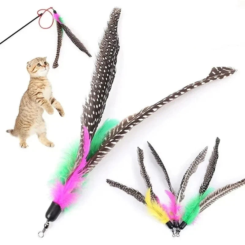 3-Pack Feather Wand Replacement Heads – DIY Cat Teaser Toy Cat Teaser Toy Qme
