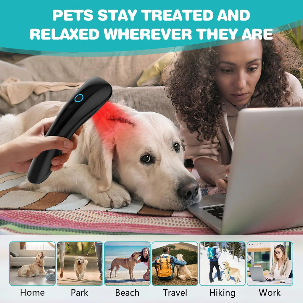 Pet Red Light Therapy Device – Dog & Cat Muscle & Wound Care Pet Light Therapy Device Qst