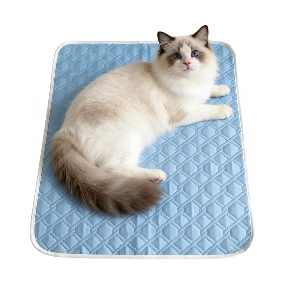 Self-Cooling Dog Mat – Soft Absorbent Pet Sleeping Pad 45x35cm Pet Cooling Mat Qme