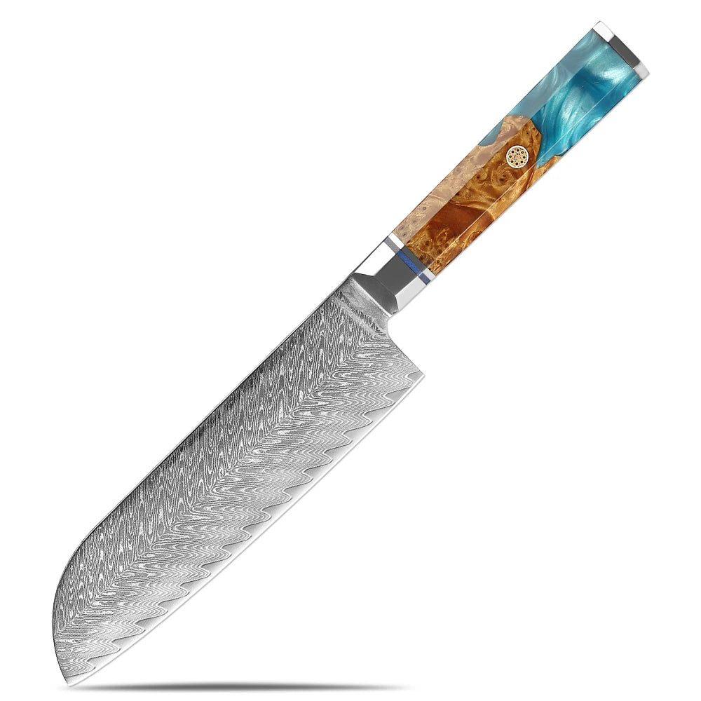XITUO Damascus Steel Kitchen Knife Set – Blue Resin Handle Kitchen Knife Set Qst Santoku Knife