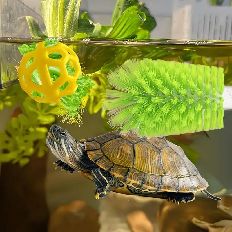 Turtle Shell Cleaning Brush & Feeding Ball – Non-Toxic Plastic Reptile Grooming Tool Qst