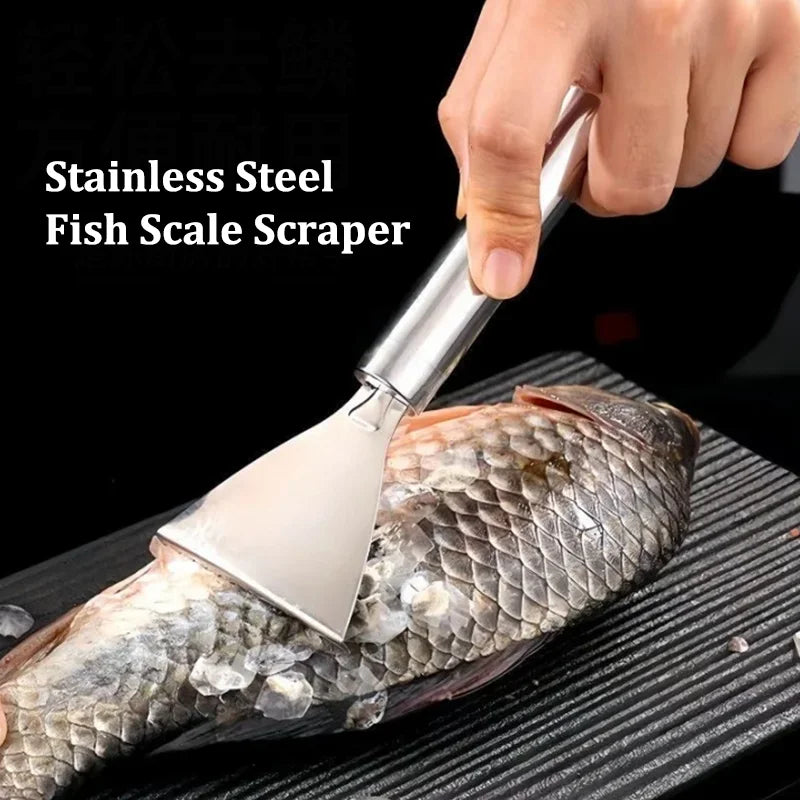 Stainless Steel Fish Scale Scraper & Bone Tweezers Tool Fish Scale Scraper Qme