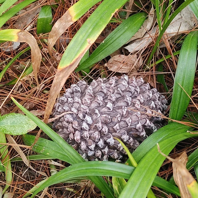 Hidden Pine Cone Key Safe Box – Outdoor Garden Key Storage Outdoor Key Safe Qme