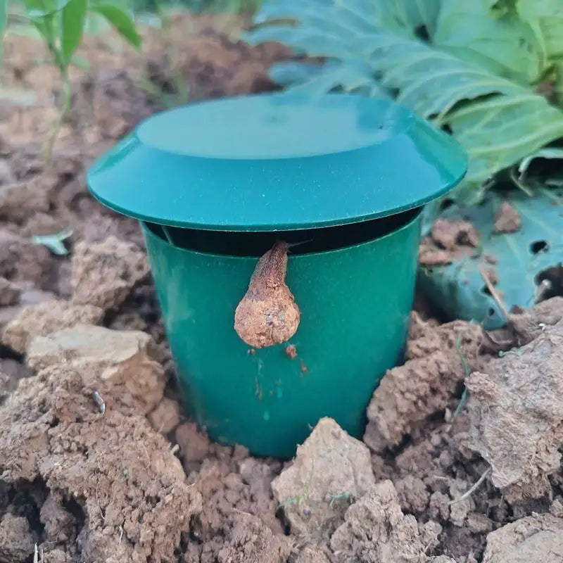 Eco-Friendly Snail & Slug Trap Cage – Garden Pest Catcher Garden Pest Trap Qme