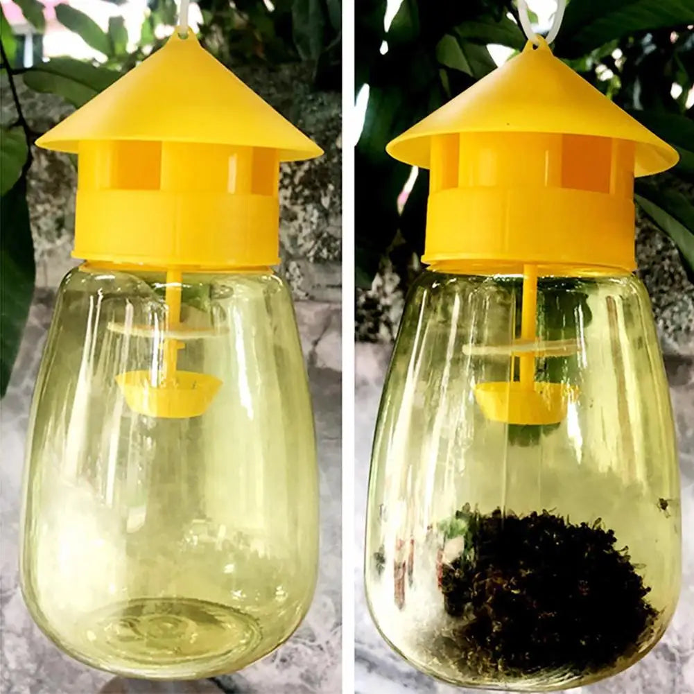 Yellow Fruit Fly Trap – Drosophila Catcher for Home & Orchard Insect Fly Trap Qme