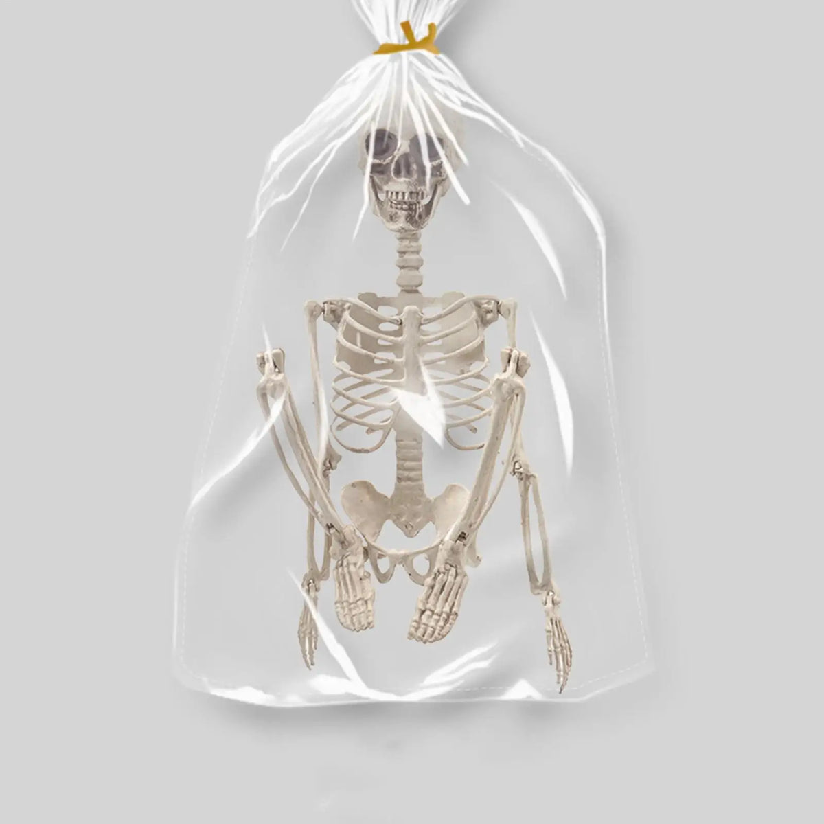 Halloween 2ft Outdoor Skeleton Skull Prop – Resin Bone Decor Halloween Skeleton Prop Qme
