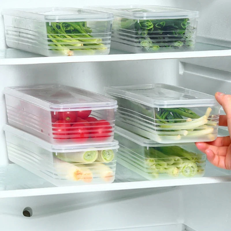 Sealed Fridge Crisper Box for Scallions & Herbs | 29cm Food Storage Container Qme