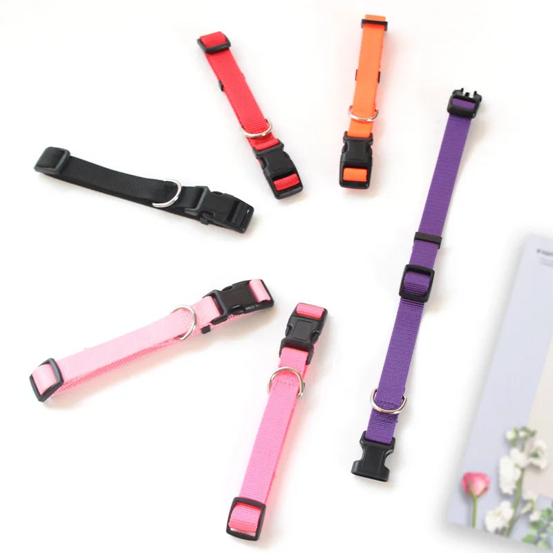 Adjustable Nylon Pet Collar for Puppies, Kittens & Small Dogs Pet Collar Qme