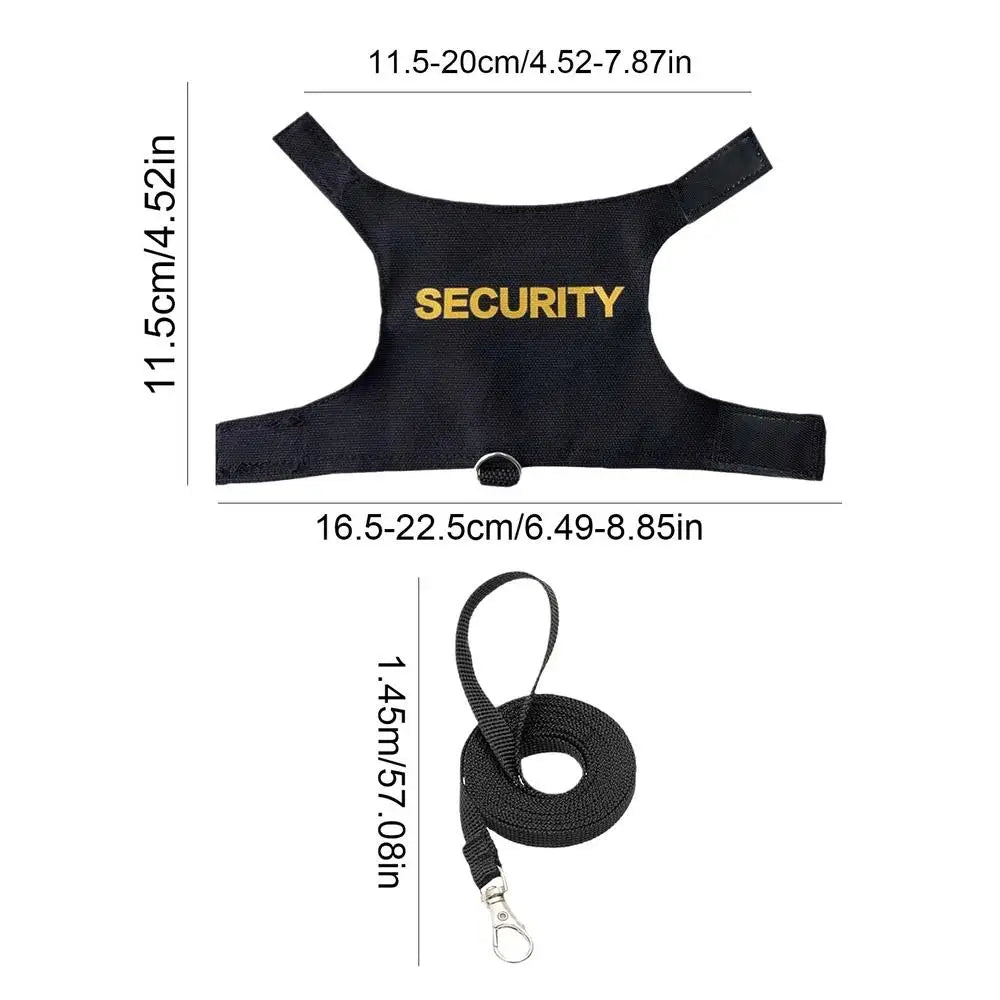 Reptile Harness & Leash | Bearded Dragon, Gecko, Lizard Reptile Harness Leash Qme Black China Mainland