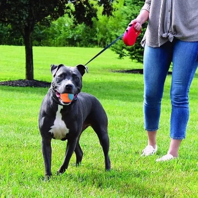 Durable Dog Chew Ball Interactive Pet Toy – Rubber & Fleece Dog Chew Toy Qme