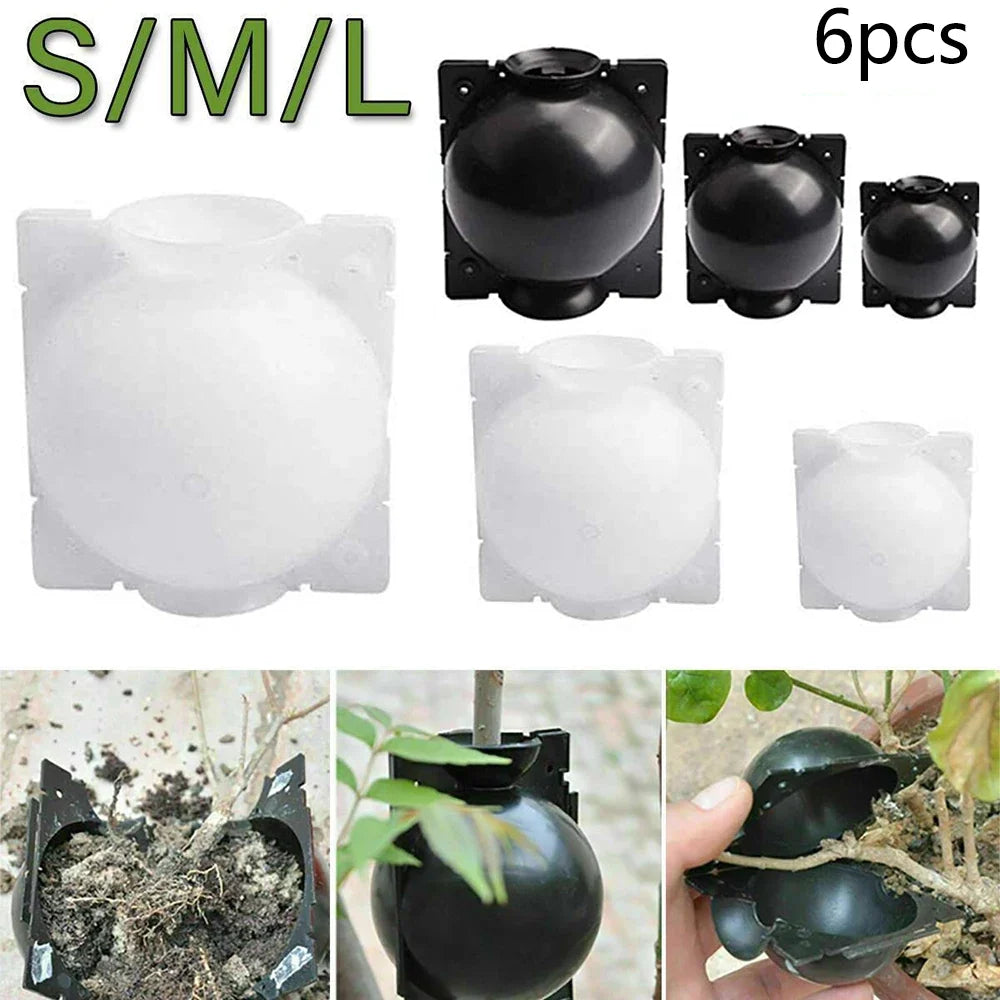 Plant Rooting Propagation Balls – Air Layering Box 6 Pack Plant Propagation Kit Qme